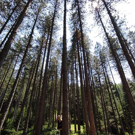 Suncana Strana Nova Varos