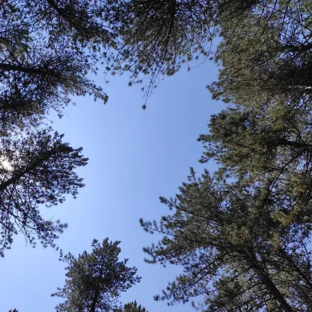 Апартаменты Suncana Strana Нова-Варош